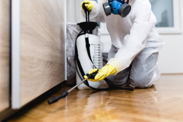 Best Commercial Pest Control Services  in Kingsport, TN