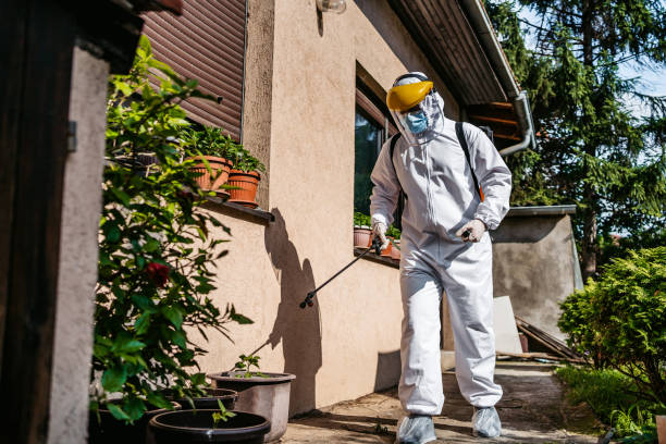 Best Affordable Pest Control Services  in Kingsport, TN