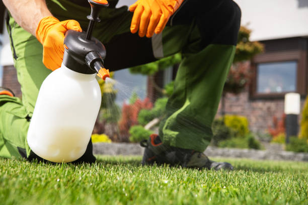 Best Pest Control Near Me  in Kingsport, TN