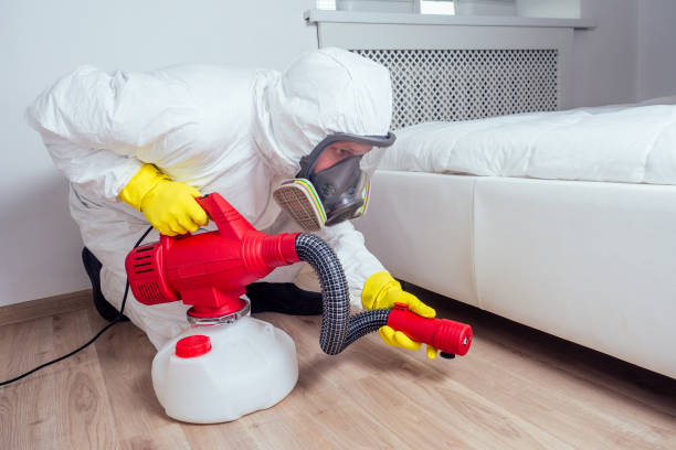 Best Residential Pest Control  in Kingsport, TN