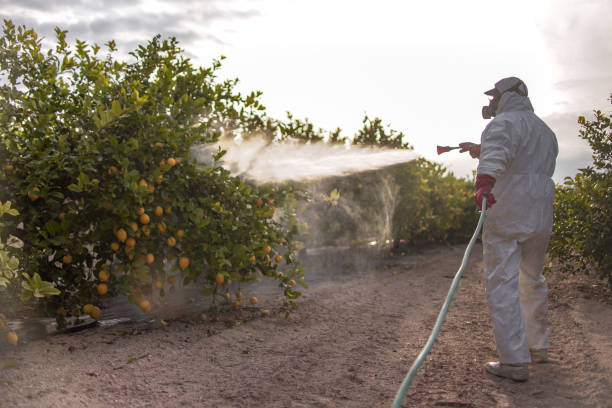 Best Best Pest Control Companies  in Kingsport, TN
