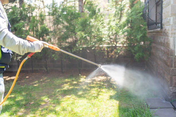 Best Insect Control  in Kingsport, TN
