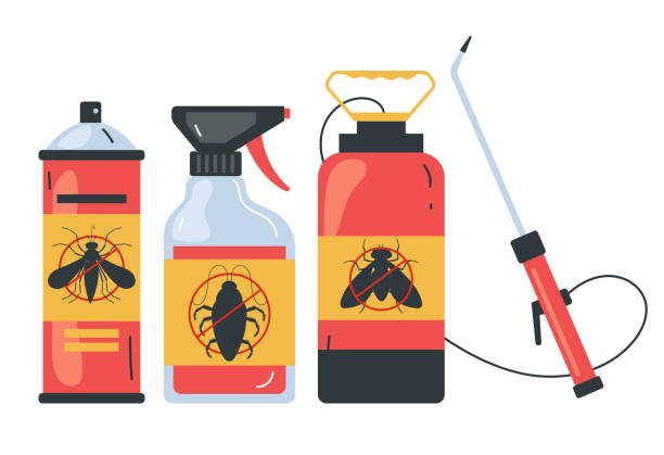 Insect Control in Kingsport, TN
