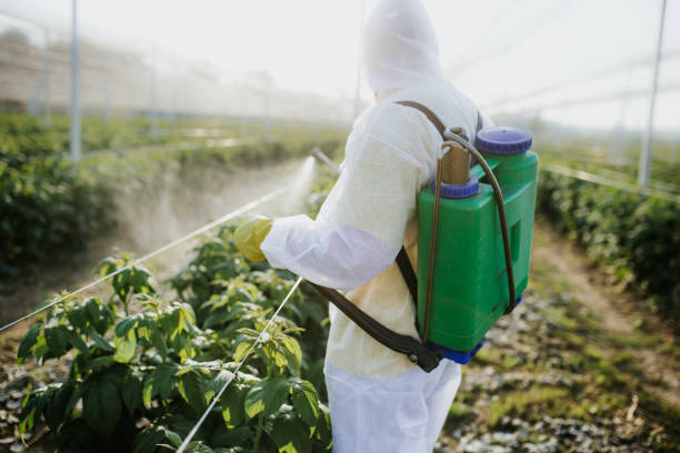 Best Emergency Pest Control  in Kingsport, TN